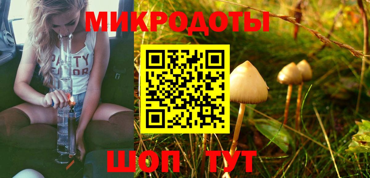 Людиново  Псилоцибиновые грибы прущие грибы  Вход с VPN 